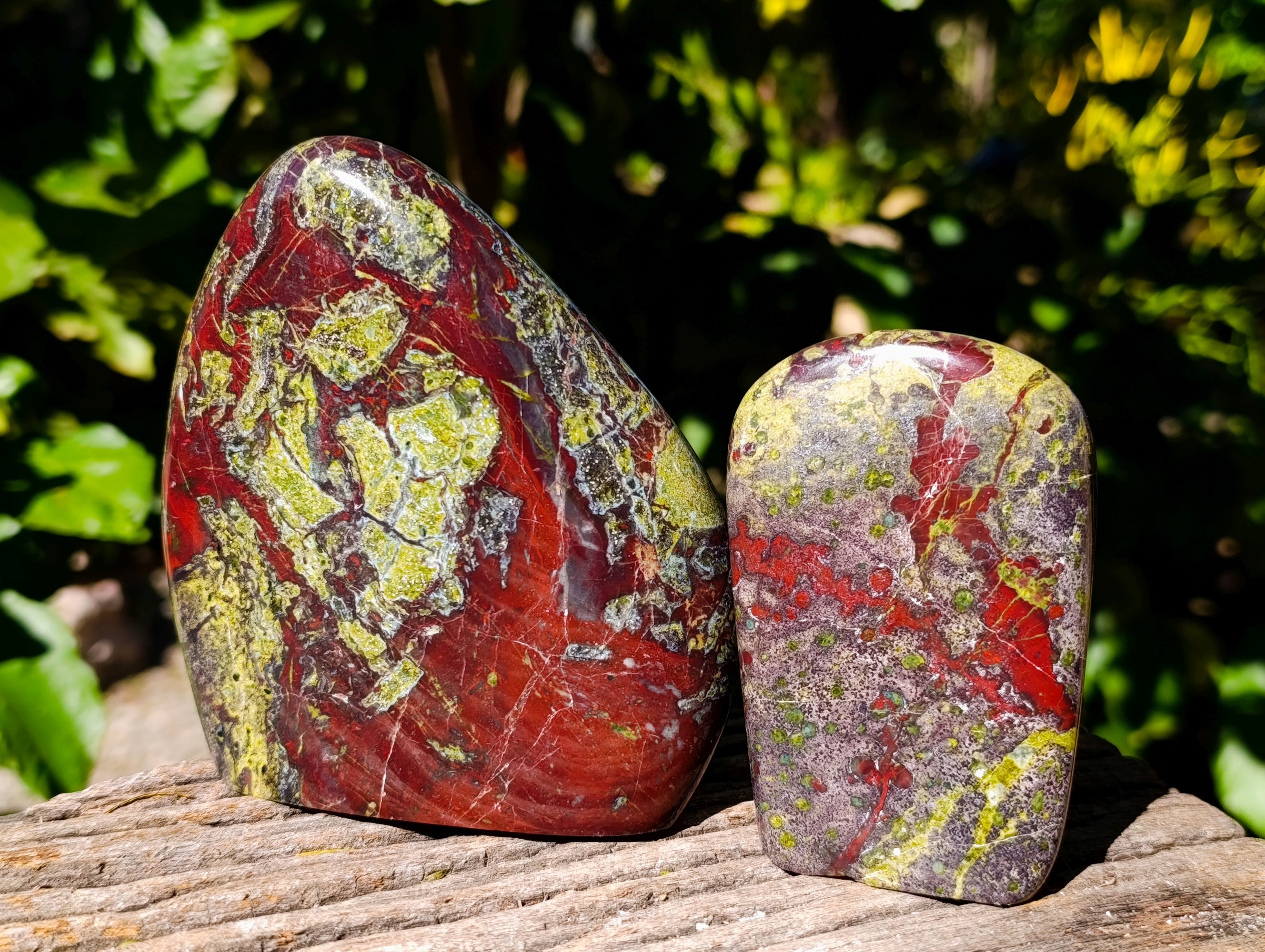 Polished Bastite Dragons Blood Stone Standing Free Forms x 2 From Tshipise, South Africa - Toprock Gemstones and Minerals 