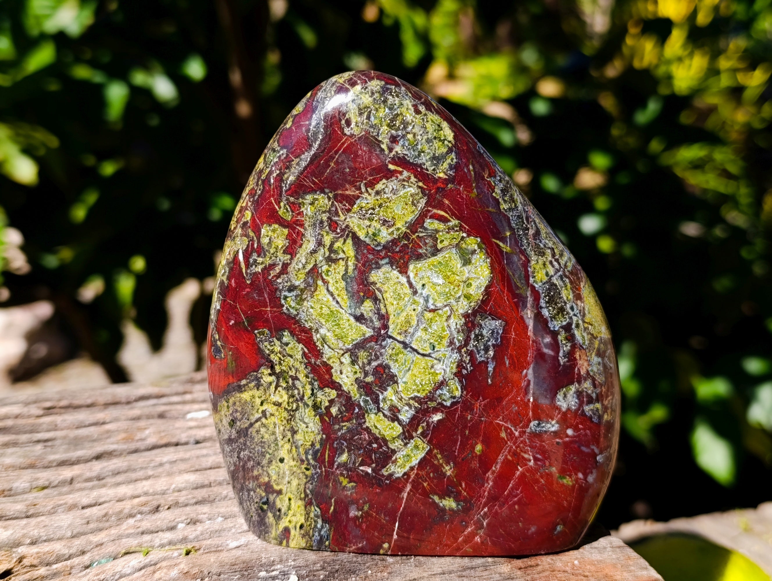 Polished Bastite Dragons Blood Stone Standing Free Forms x 2 From Tshipise, South Africa - Toprock Gemstones and Minerals 