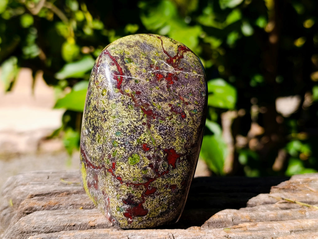 Polished Bastite Dragons Blood Stone Standing Free Forms x 2 From Tshipise, South Africa - Toprock Gemstones and Minerals 