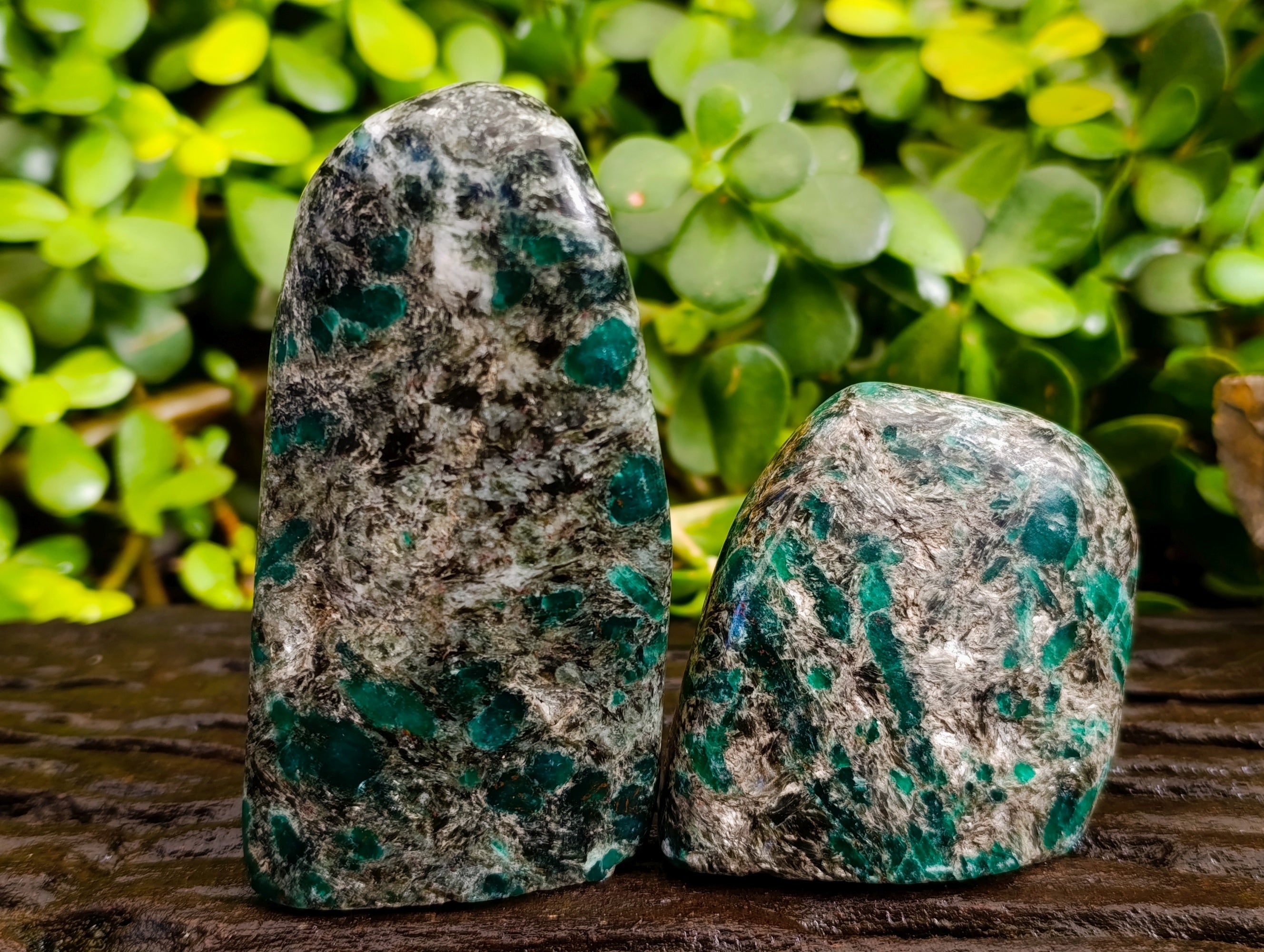 Polished Emerald Mica In Matrix Standing Free Forms x 3 From Mutoko, Zimbabwe - Toprock Gemstones and Minerals 