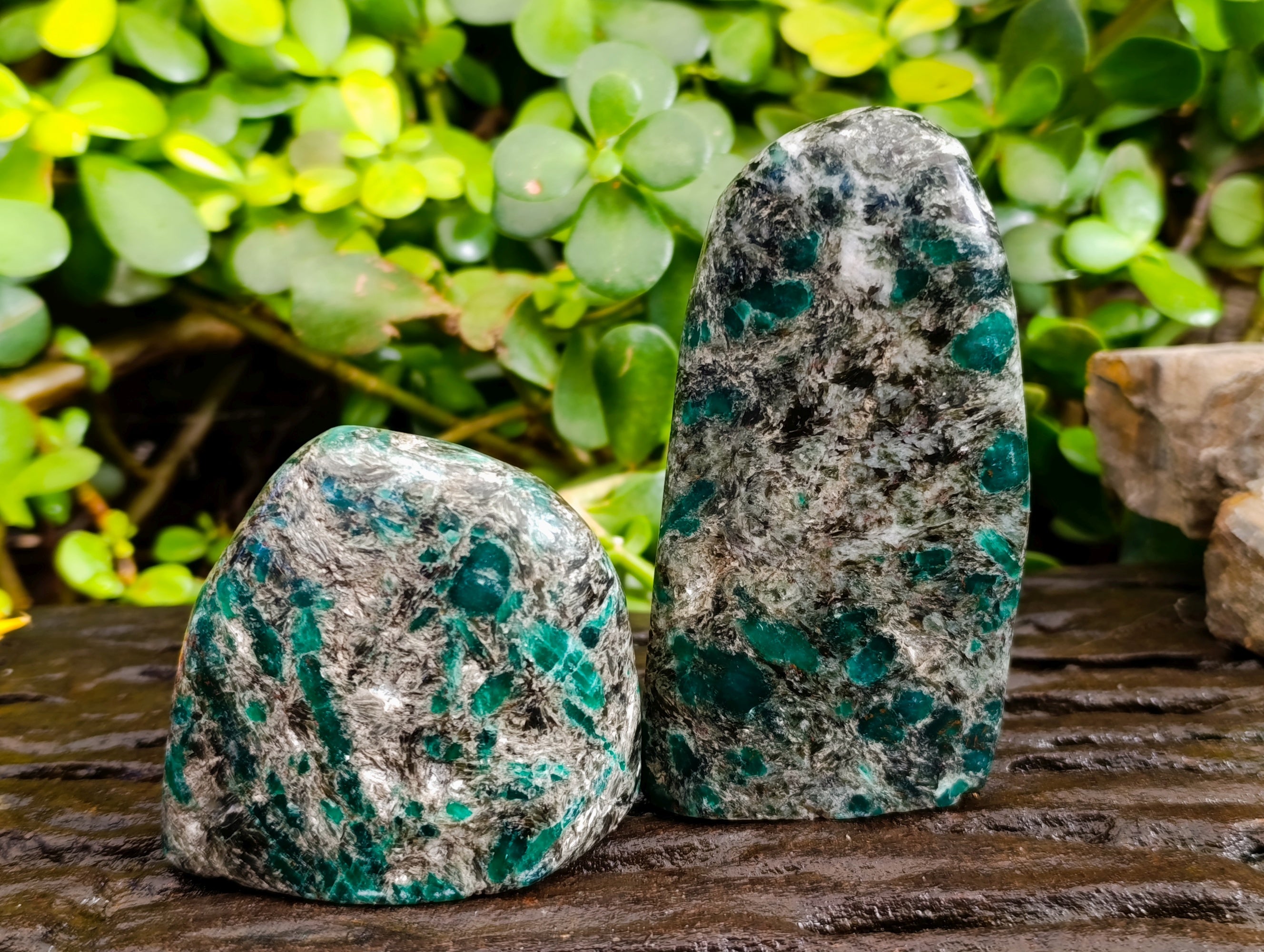 Polished Emerald Mica In Matrix Standing Free Forms x 3 From Mutoko, Zimbabwe - Toprock Gemstones and Minerals 
