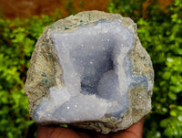 Natural Blue Lace Agate Geode Specimens x 2 From Nsanje, Malawi - Toprock Gemstones and Minerals 