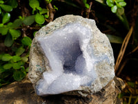 Natural Blue Lace Agate Geode Specimens x 2 From Nsanje, Malawi - Toprock Gemstones and Minerals 