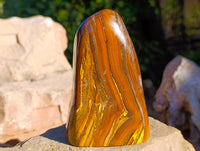 Polished Golden River Tigers Eye Standing Free Forms x 2 From Prieska, South Africa - Toprock Gemstones and Minerals 