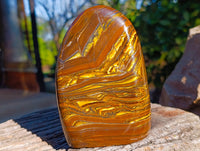 Polished Golden River Tigers Eye Standing Free Forms x 2 From Prieska, South Africa - Toprock Gemstones and Minerals 