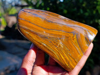 Polished Golden River Tigers Eye Standing Free Forms x 2 From Prieska, South Africa - Toprock Gemstones and Minerals 