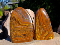 Polished Golden River Tigers Eye Standing Free Forms x 2 From Prieska, South Africa - Toprock Gemstones and Minerals 