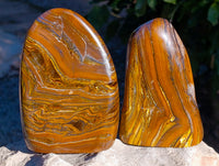 Polished Golden River Tigers Eye Standing Free Forms x 2 From Prieska, South Africa - Toprock Gemstones and Minerals 