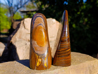Polished Golden River Tigers Eye Standing Free Forms x 2 From Prieska, South Africa - Toprock Gemstones and Minerals 