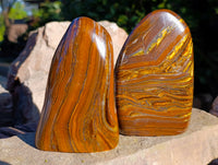 Polished Golden River Tigers Eye Standing Free Forms x 2 From Prieska, South Africa - Toprock Gemstones and Minerals 