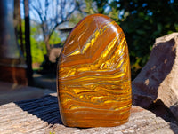 Polished Golden River Tigers Eye Standing Free Forms x 2 From Prieska, South Africa - Toprock Gemstones and Minerals 