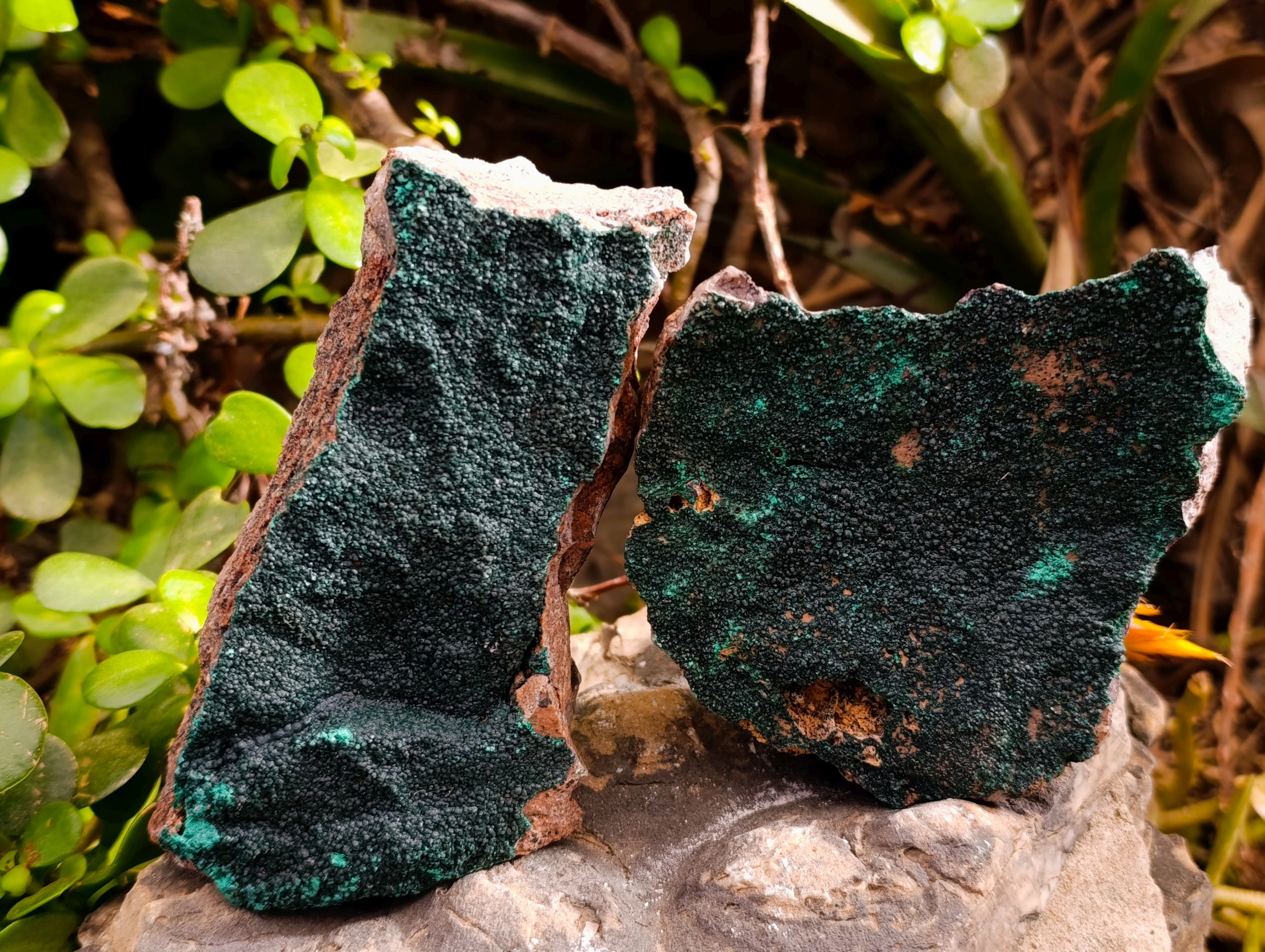 Natural Crystalline Malachite Specimens x 3 From Tenke Fungurume, Congo - Toprock Gemstones and Minerals 