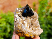 Natural Schorl Black Tourmaline and Smokey Quartz on Orthoclase Matrix with a dash of Hyalite Opal x 12 From Erongo, Namibia - Toprock Gemstones and Minerals 