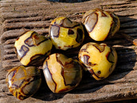 Polished Fossilized Septerye Hearts x 6 From Mahajanga, Madagascar