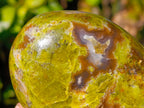 Polished Green Opal Standing Free Forms x 3 From Betroka, Madagascar - Toprock Gemstones and Minerals 