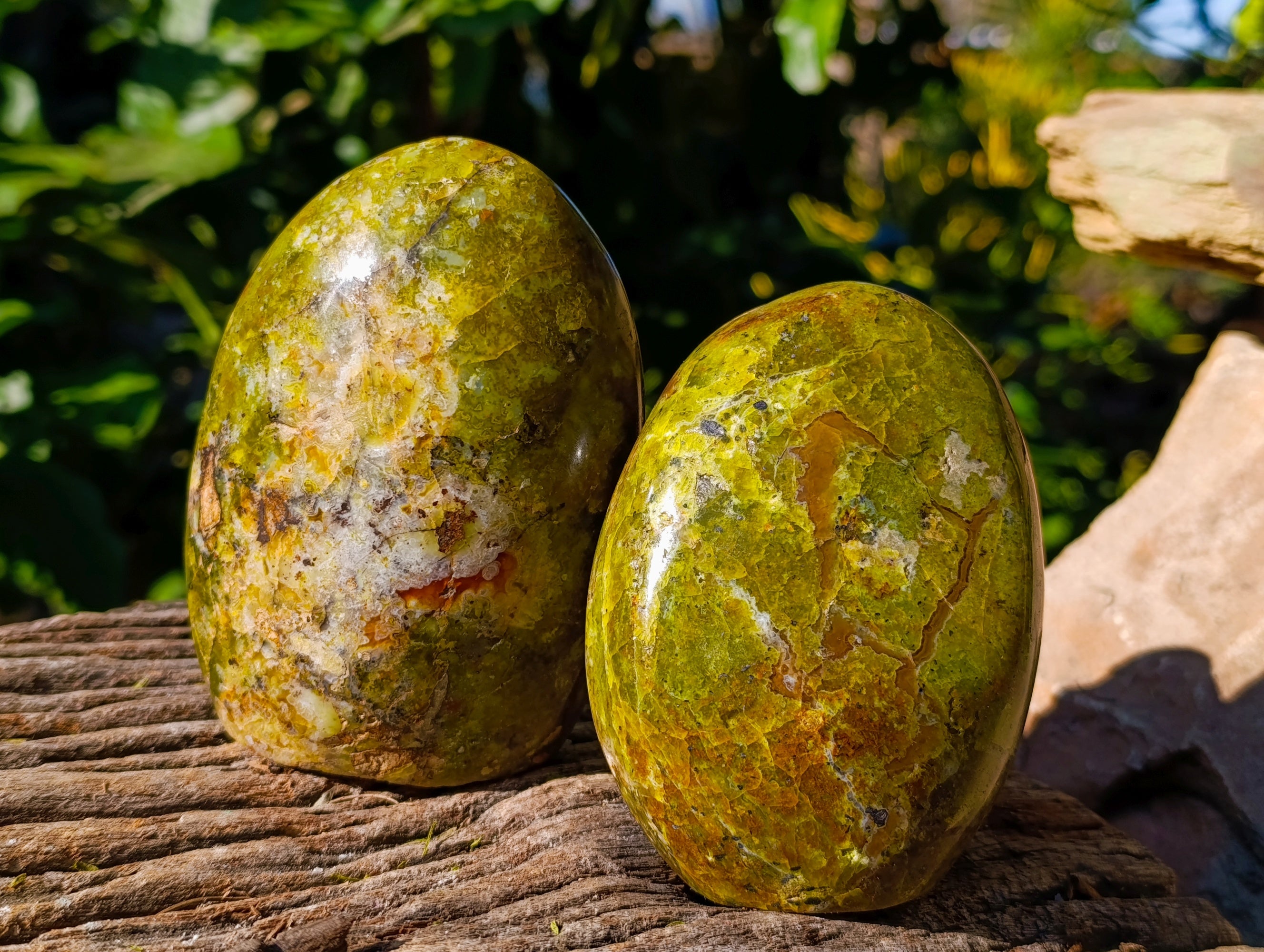 Polished Green Opal Standing Free Forms x 3 From Betroka, Madagascar - Toprock Gemstones and Minerals 