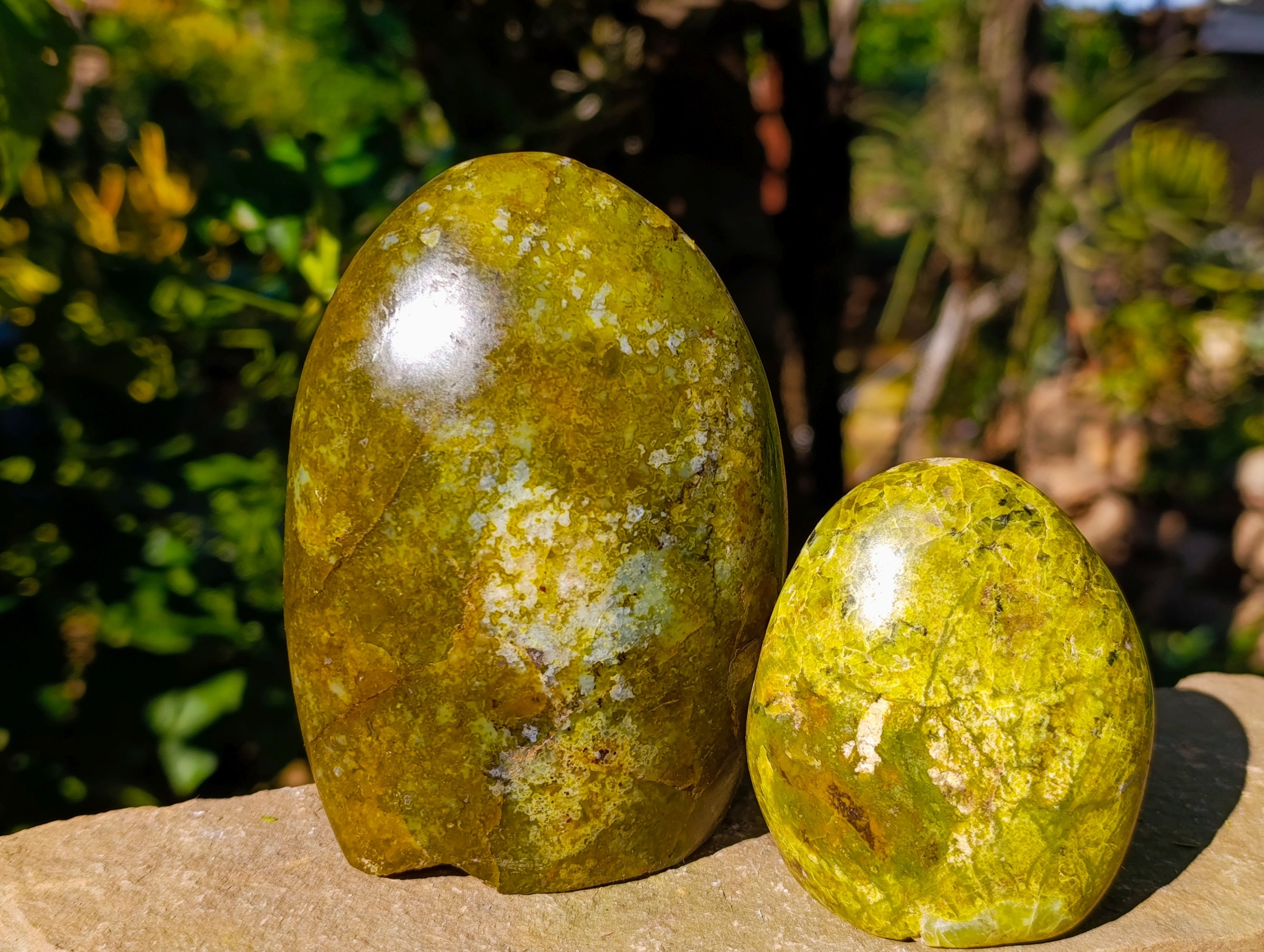 Polished Green Opal Standing Free Forms x 3 From Betroka, Madagascar - Toprock Gemstones and Minerals 