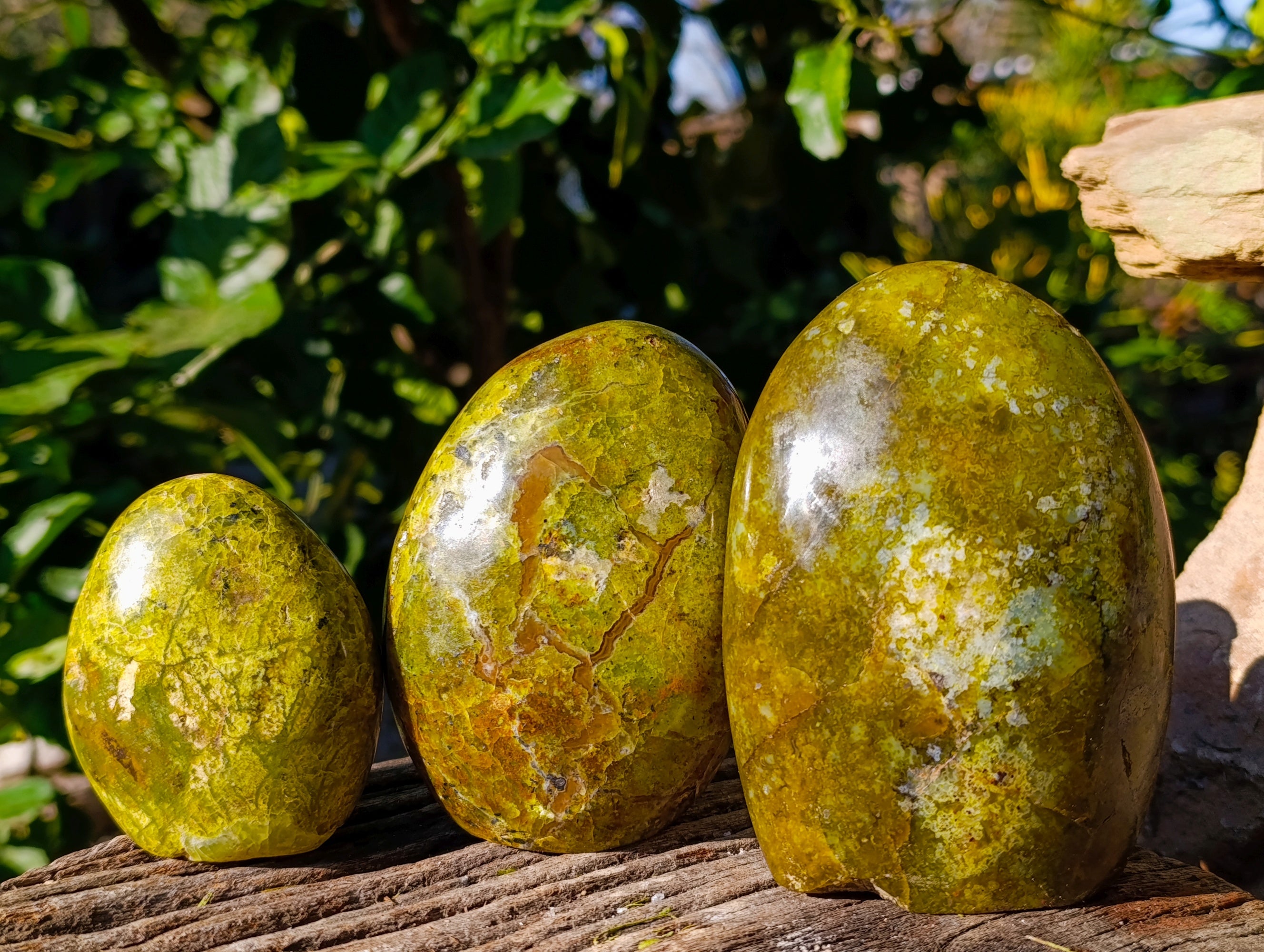 Polished Green Opal Standing Free Forms x 3 From Betroka, Madagascar - Toprock Gemstones and Minerals 