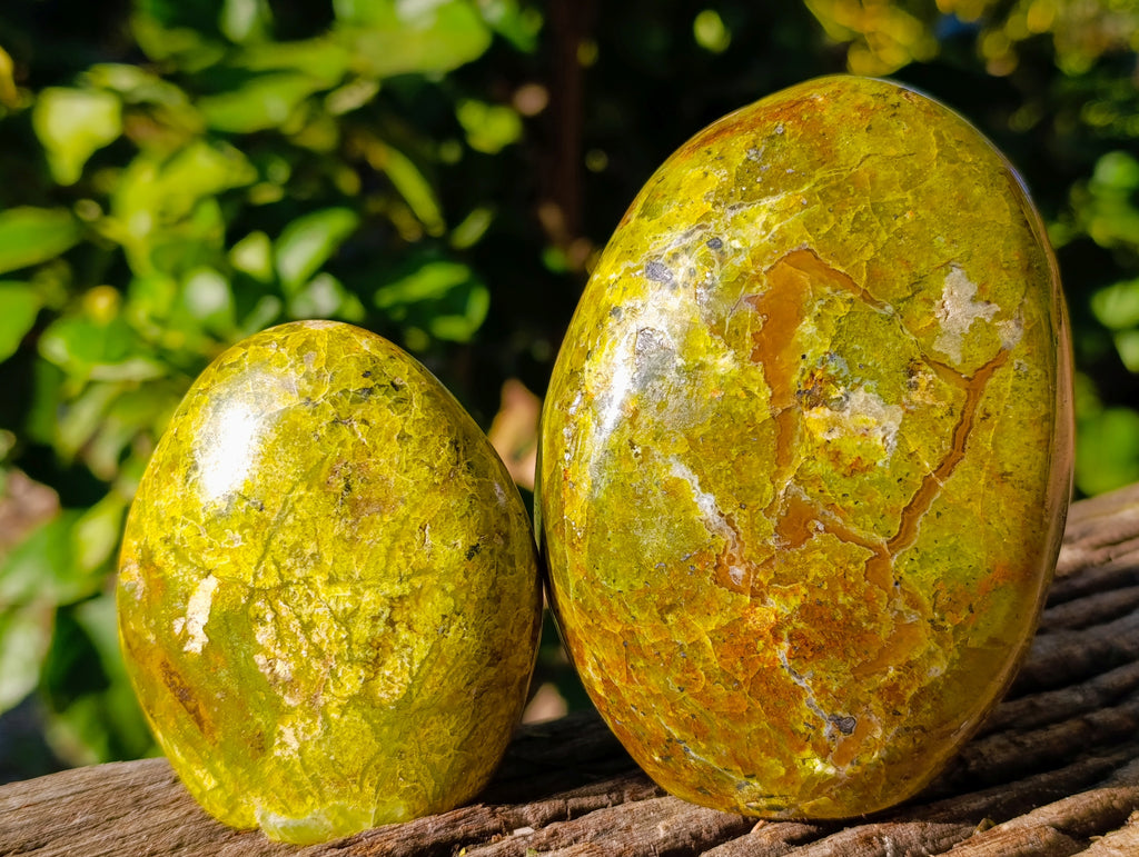 Polished Green Opal Standing Free Forms x 3 From Betroka, Madagascar - Toprock Gemstones and Minerals 