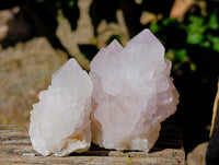 Natural Amethyst Spirit Quartz Clusters x 12 From Boekenhouthoek, South Africa - Toprock Gemstones and Minerals 
