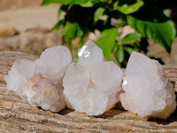 Natural Amethyst Spirit Quartz Clusters x 12 From Boekenhouthoek, South Africa
