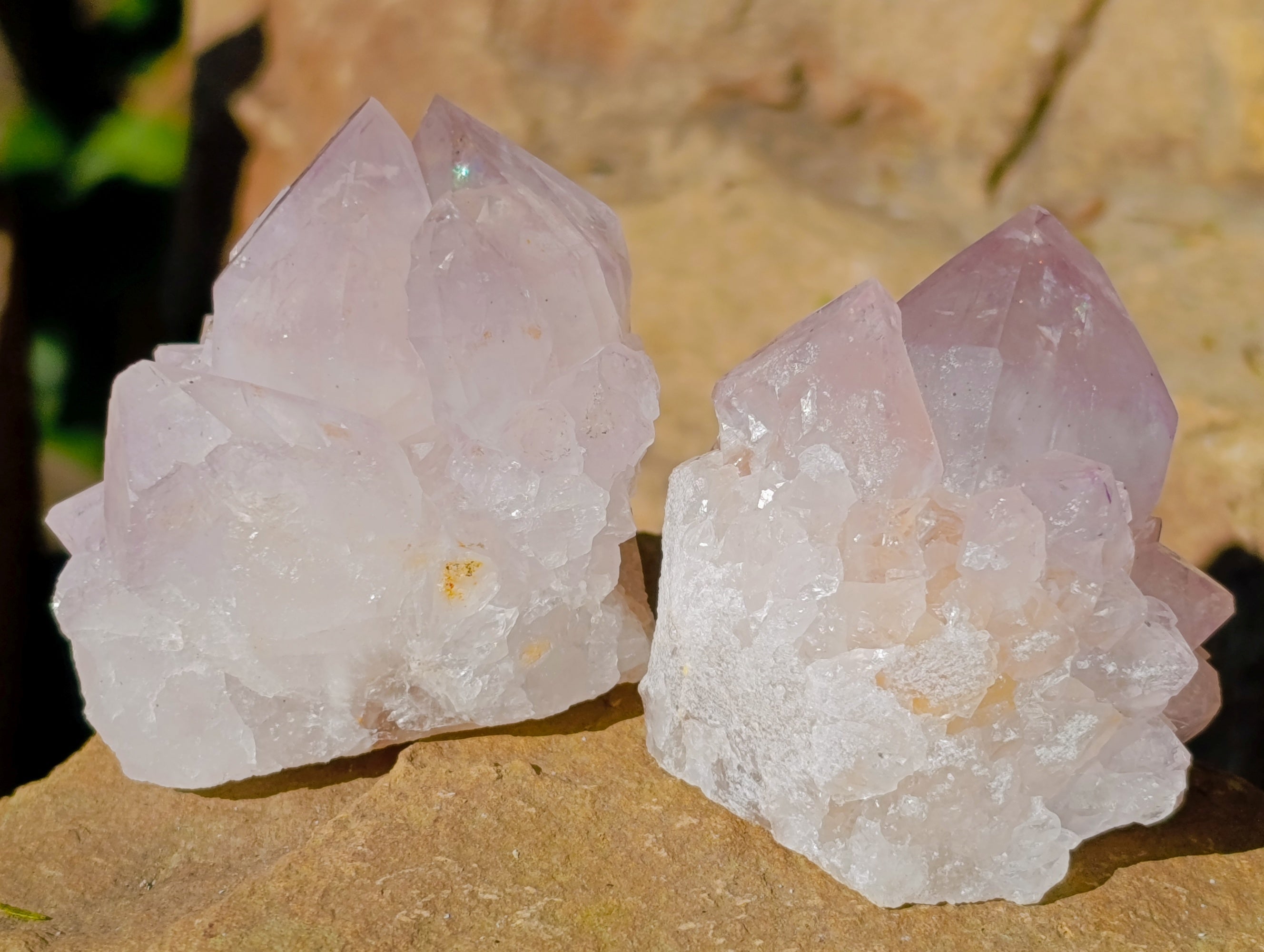 Natural Amethyst Spirit Quartz Clusters x 12 From Boekenhouthoek, South Africa - Toprock Gemstones and Minerals 