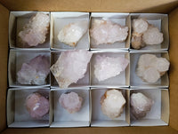 Natural Amethyst Spirit Quartz Clusters x 12 From Boekenhouthoek, South Africa - Toprock Gemstones and Minerals 