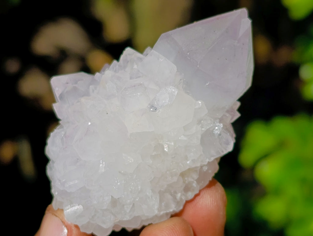 Natural Amethyst Spirit Quartz Clusters x 12 From Boekenhouthoek, South Africa - Toprock Gemstones and Minerals 