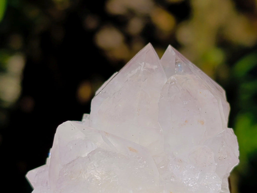 Natural Amethyst Spirit Quartz Clusters x 12 From Boekenhouthoek, South Africa - Toprock Gemstones and Minerals 