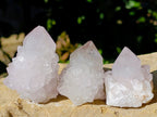 Natural Amethyst Spirit Quartz Clusters x 12 From Boekenhouthoek, South Africa - Toprock Gemstones and Minerals 