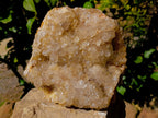 Natural Smokey Limonite Quartz Cluster x 1 From Solwezi, Zambia - Toprock Gemstones and Minerals 