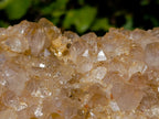 Natural Smokey Limonite Quartz Cluster x 1 From Solwezi, Zambia - Toprock Gemstones and Minerals 