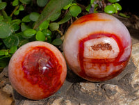 Polished Carnelian Agate Spheres x 4 From Madagascar - Toprock Gemstones and Minerals 