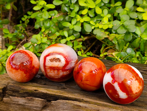 Polished Carnelian Agate Spheres x 4 From Madagascar