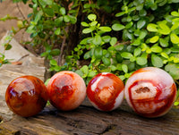 Polished Carnelian Agate Spheres x 4 From Madagascar - Toprock Gemstones and Minerals 