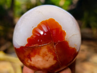 Polished Carnelian Agate Spheres x 4 From Madagascar - Toprock Gemstones and Minerals 