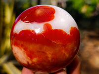 Polished Carnelian Agate Spheres x 4 From Madagascar - Toprock Gemstones and Minerals 