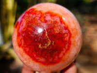 Polished Carnelian Agate Spheres x 4 From Madagascar - Toprock Gemstones and Minerals 