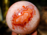 Polished Carnelian Agate Spheres x 4 From Madagascar - Toprock Gemstones and Minerals 