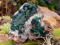 Natural Ball Malachite and Drusy Quartz On Dolomite Matrix Specimens x 6 From Kambove, Congo