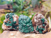 Natural Ball Malachite and Drusy Quartz On Dolomite Matrix Specimens x 6 From Kambove, Congo