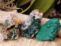 Natural Ball Malachite and Drusy Quartz On Dolomite Matrix Specimens x 6 From Kambove, Congo