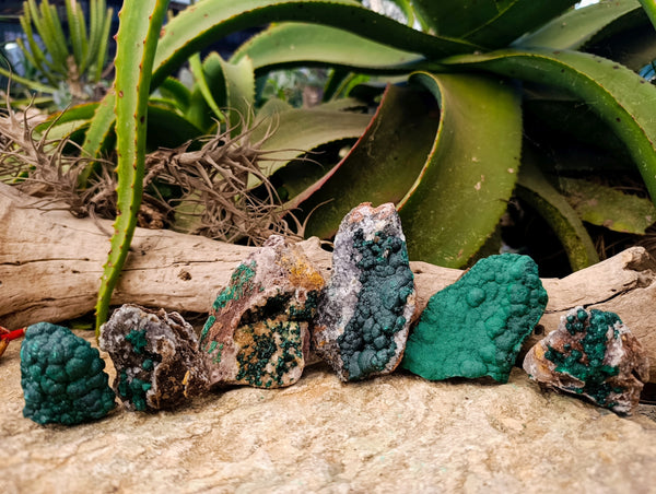 Natural Ball Malachite and Drusy Quartz On Dolomite Matrix Specimens x 6 From Kambove, Congo