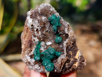 Natural Ball Malachite and Drusy Quartz On Dolomite Matrix Specimens x 6 From Kambove, Congo