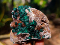 Natural Ball Malachite and Drusy Quartz On Dolomite Matrix Specimens x 6 From Kambove, Congo