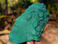 Natural Ball Malachite and Drusy Quartz On Dolomite Matrix Specimens x 6 From Kambove, Congo