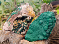 Natural Ball Malachite and Drusy Quartz On Dolomite Matrix Specimens x 6 From Kambove, Congo