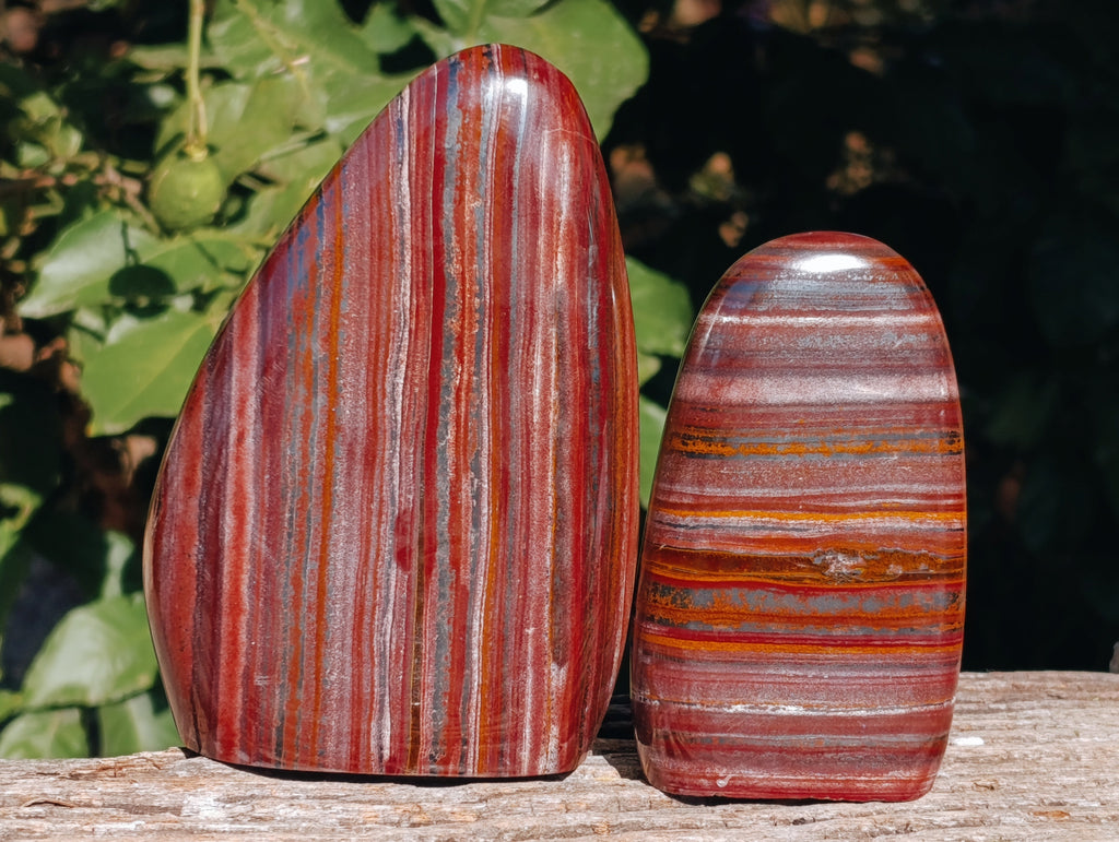 Polished Banded Tiger Iron Jasper Standing Free Forms x 2 From South Africa - Toprock Gemstones and Minerals 