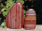 Polished Banded Tiger Iron Jasper Standing Free Forms x 2 From South Africa - Toprock Gemstones and Minerals 