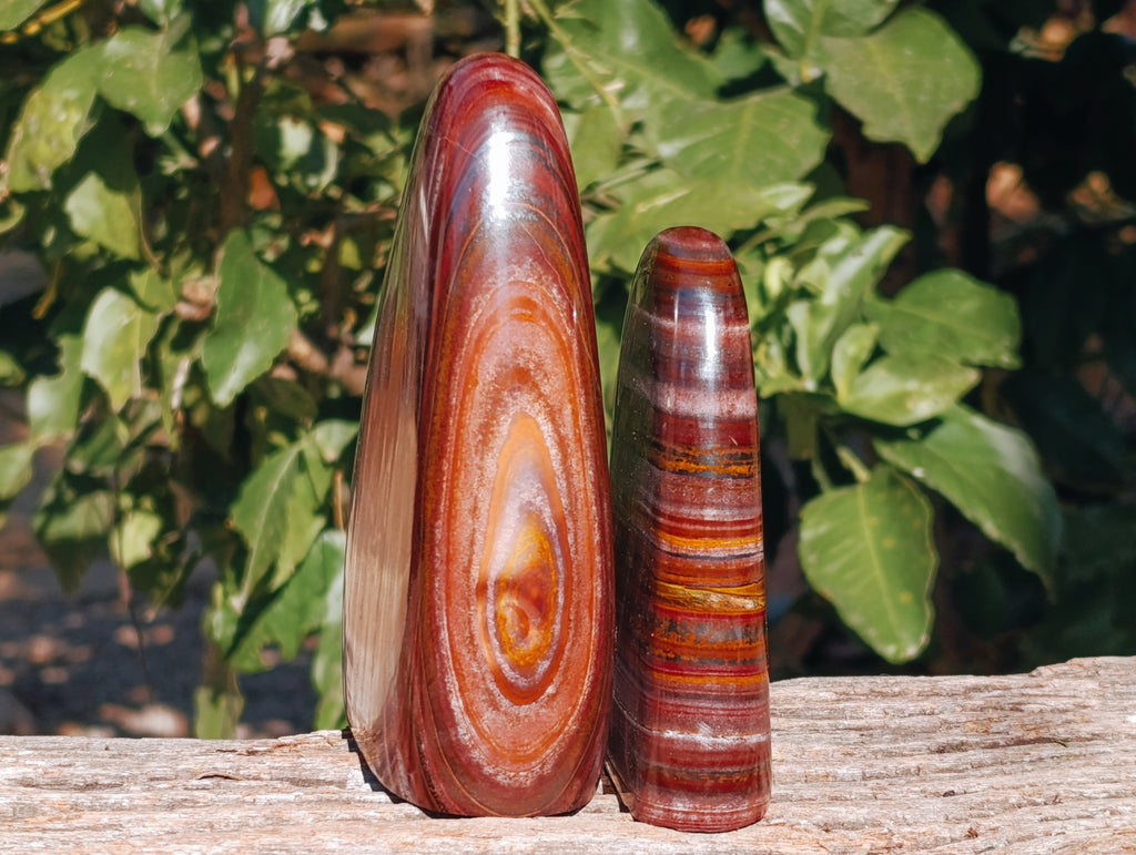 Polished Banded Tiger Iron Jasper Standing Free Forms x 2 From South Africa - Toprock Gemstones and Minerals 